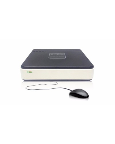 BestNVR-400. IP-видеосервер 4-канальный. BestDVR в Прокопьевске