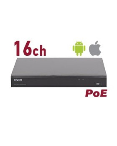 RK2216-P. Видеорегистратор IP 16-канальный. Beward в Прокопьевске