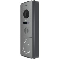 CTV-D4005 G (графит). Вызывная панель цветная. CTV