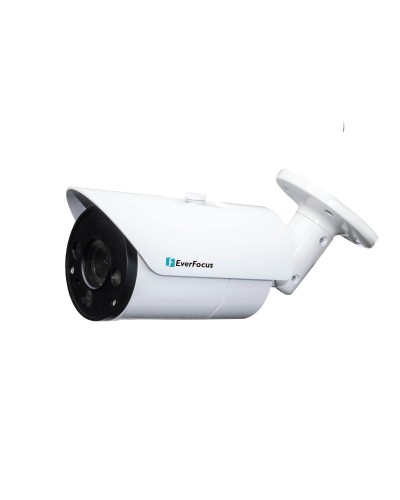 EZN-268V. Видеокамера IP купольная. EverFocus в Прокопьевске