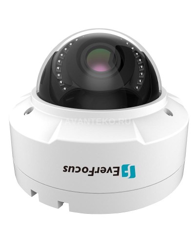 EHN-1250. Видеокамера IP купольная. EverFocus в Прокопьевске