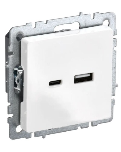 Розетка USB A+C 18Вт РЮ11-1-БрБ белый BRITE (BR-U22-018-K01). Розетка USB. IEK в Прокопьевске