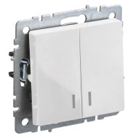 Выключатель 2-клавишный ВС10-2-1-БрБ белый BRITE (BR-V20-1-10-K01). Выключатель с индикацией. IEK