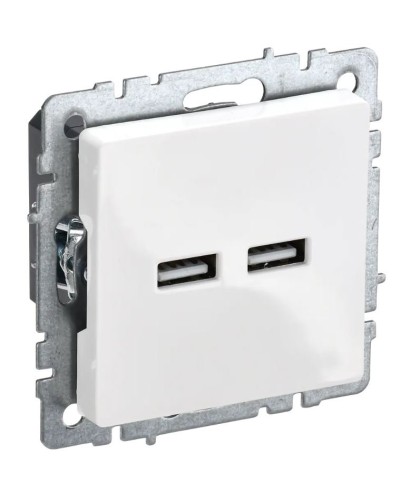 Розетка USB A+A 3,1А РЮ10-1-БрБ белый BRITE (BR-U21-D31-K01). Розетка USB. IEK в Прокопьевске