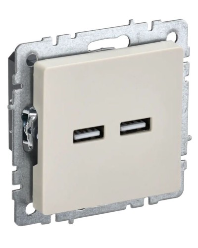 Розетка USB A+A 3,1А РЮ10-1-БрКр бежевый BRITE (BR-U21-D31-K10). Розетка USB. IEK в Прокопьевске
