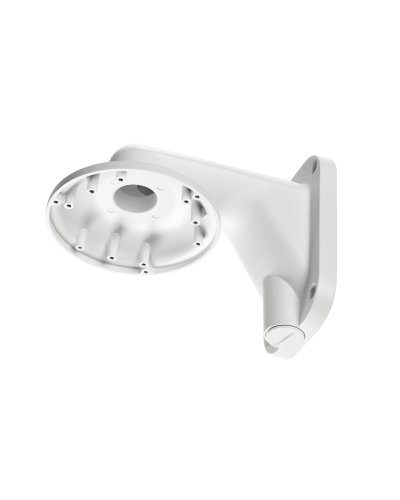 RVi-1BWM-5 white. Кронштейн настенный. RVi в Прокопьевске
