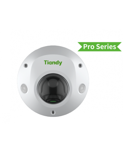 TC-C32PS I3/E/Y/M/H/2.8/V4.2. Видеокамера IP купольная. Tiandy в Прокопьевске