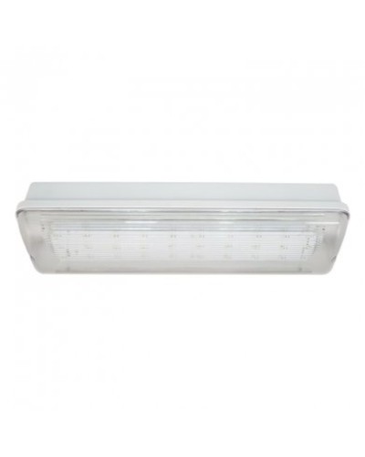 SL-223-30LED1.8 исп. 1, IP65. Светильник аварийного освещения. ИП Раченков А.В. в Прокопьевске