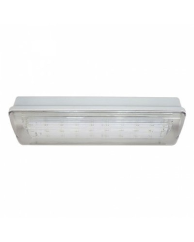 SL-213-30LED1.8 исп. 1 IP65. Светильник аварийного освещения. ИП Раченков А.В. в Прокопьевске